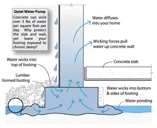 Rising Damp