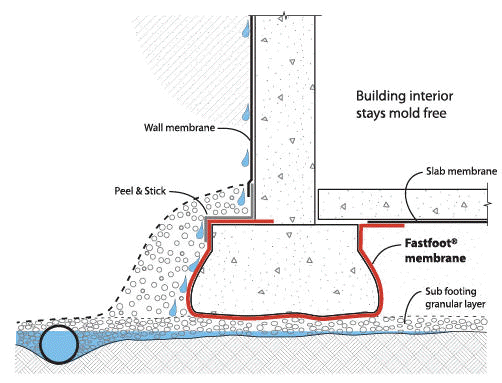 Rising Damp